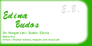 edina budos business card